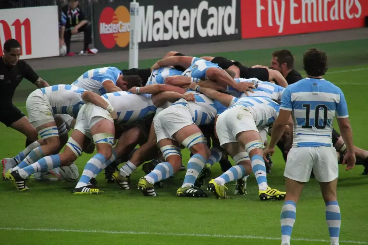 Die Rugby-Meisterschaft ist ein Premier-Wettbewerb